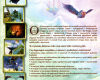 Polsko<br>zadní strana<span class=zdroj>MobyGames</span><span class=datum />