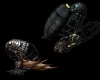 <span class=zdroj>Pterodon</span> 